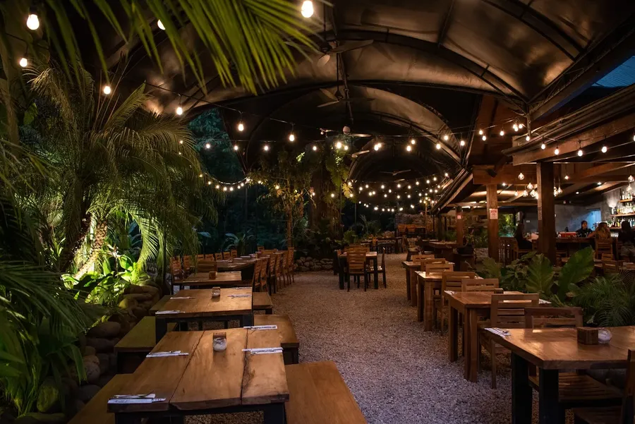 Night Life image 1