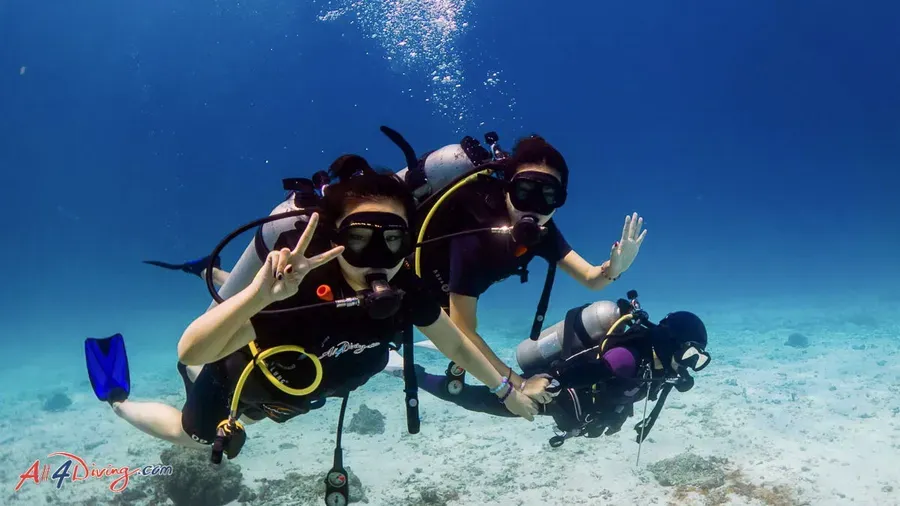 Diving image 1
