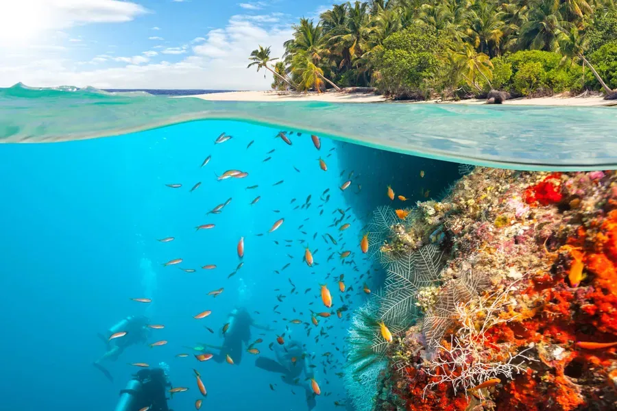 Diving image 3