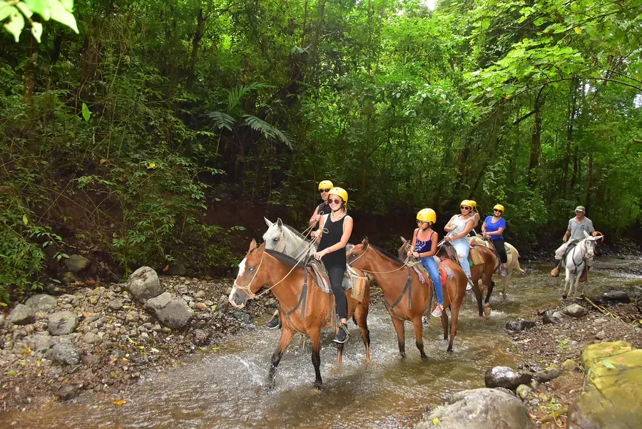 Horseback Riding image 3