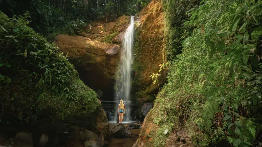 Nature image 1