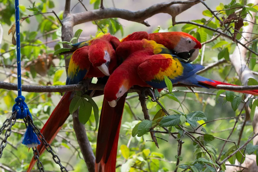 Nature image 2