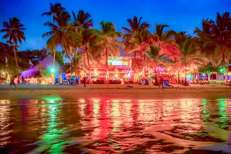 Night Life image 2