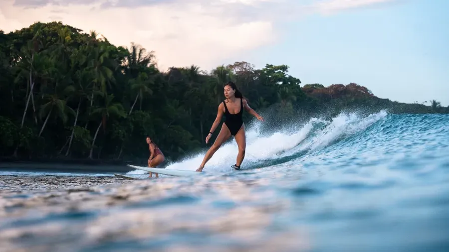 Surf Lessons image 1