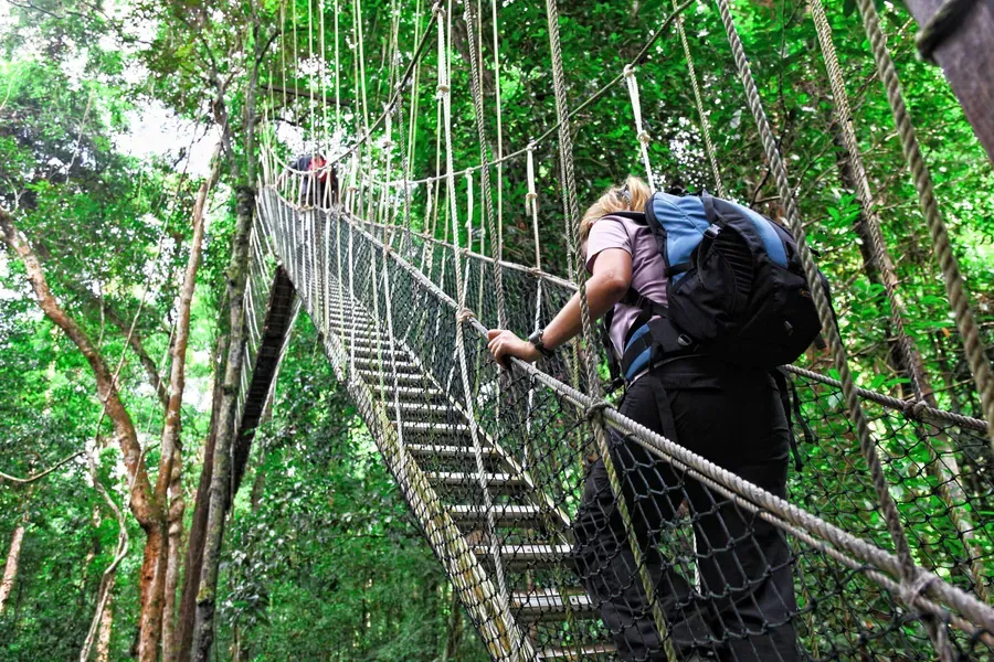Canopy Tour image 3