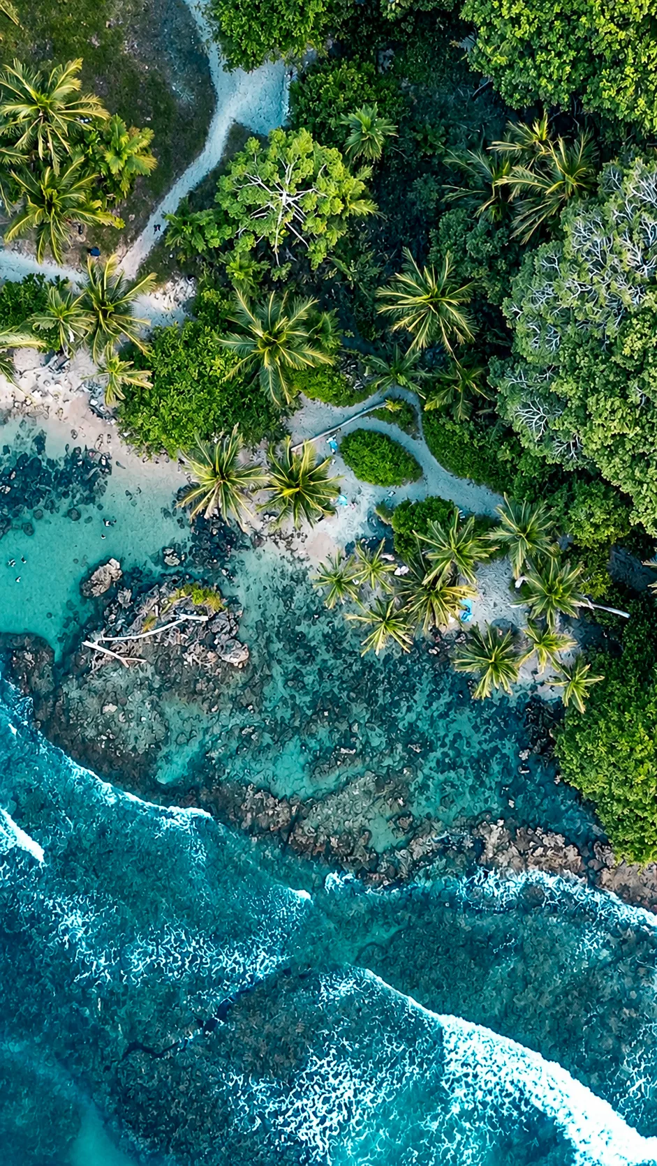 Playa Chiquita, Puerto Viejo, Costa Rica
