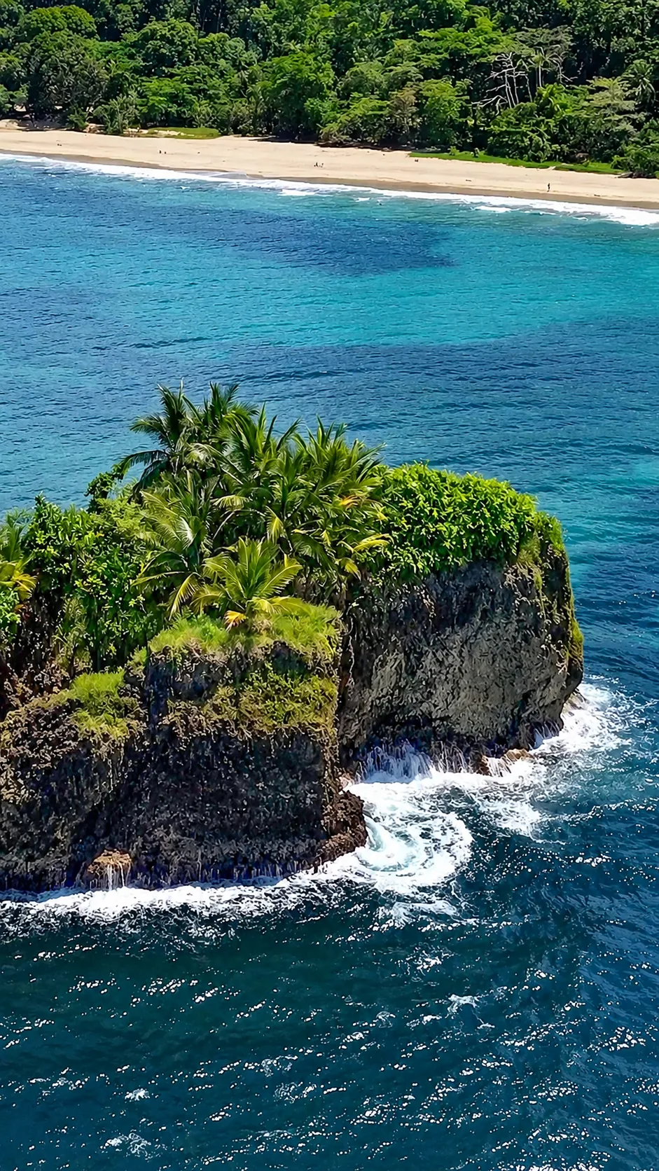 Playa Cocles, Puerto Viejo, Costa Rica