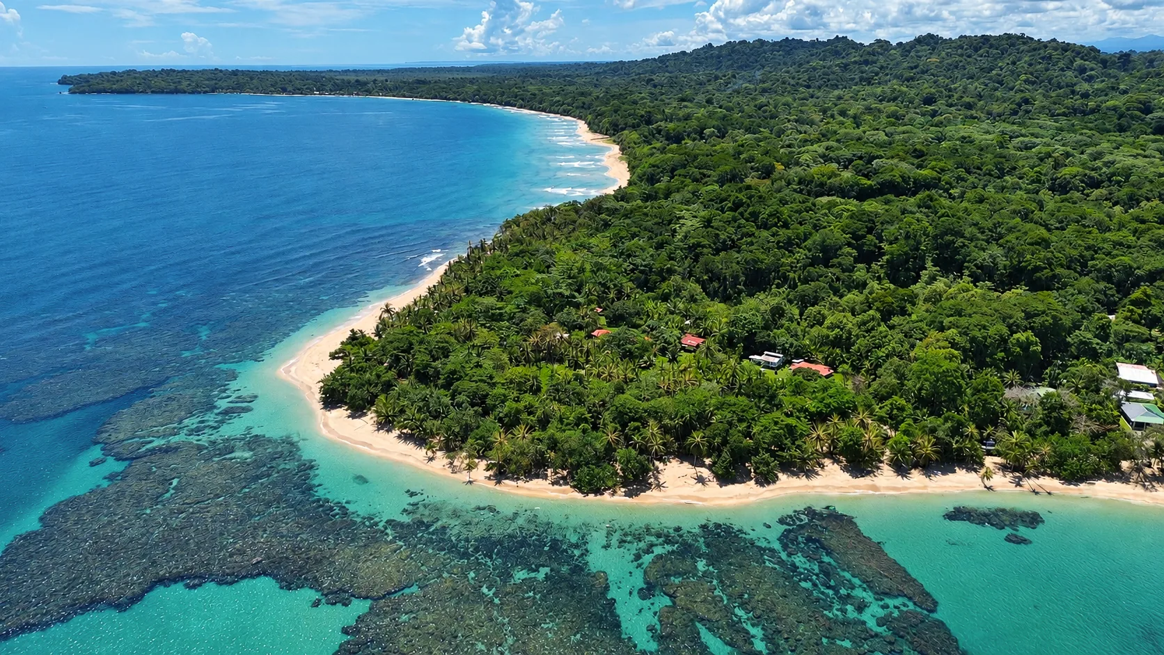 Aerial view of Punta Uva beach and jungle on the Caribbean coast of Costa Rica