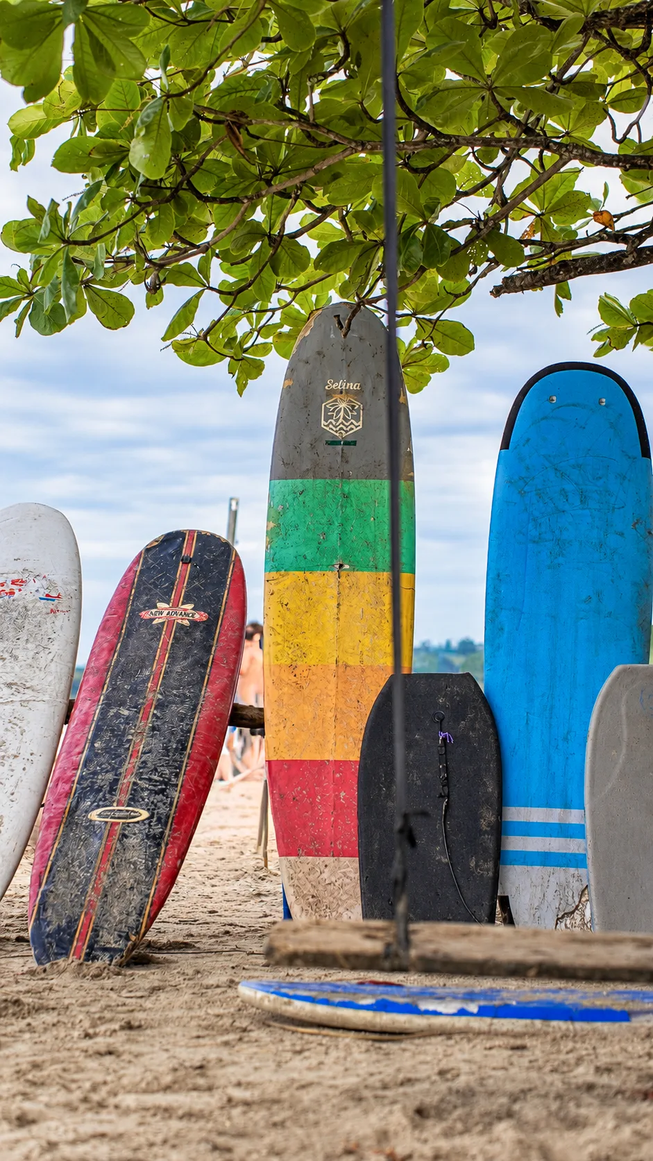 Colorful surfboards lined up in the sand under a tree at Playa Cocles