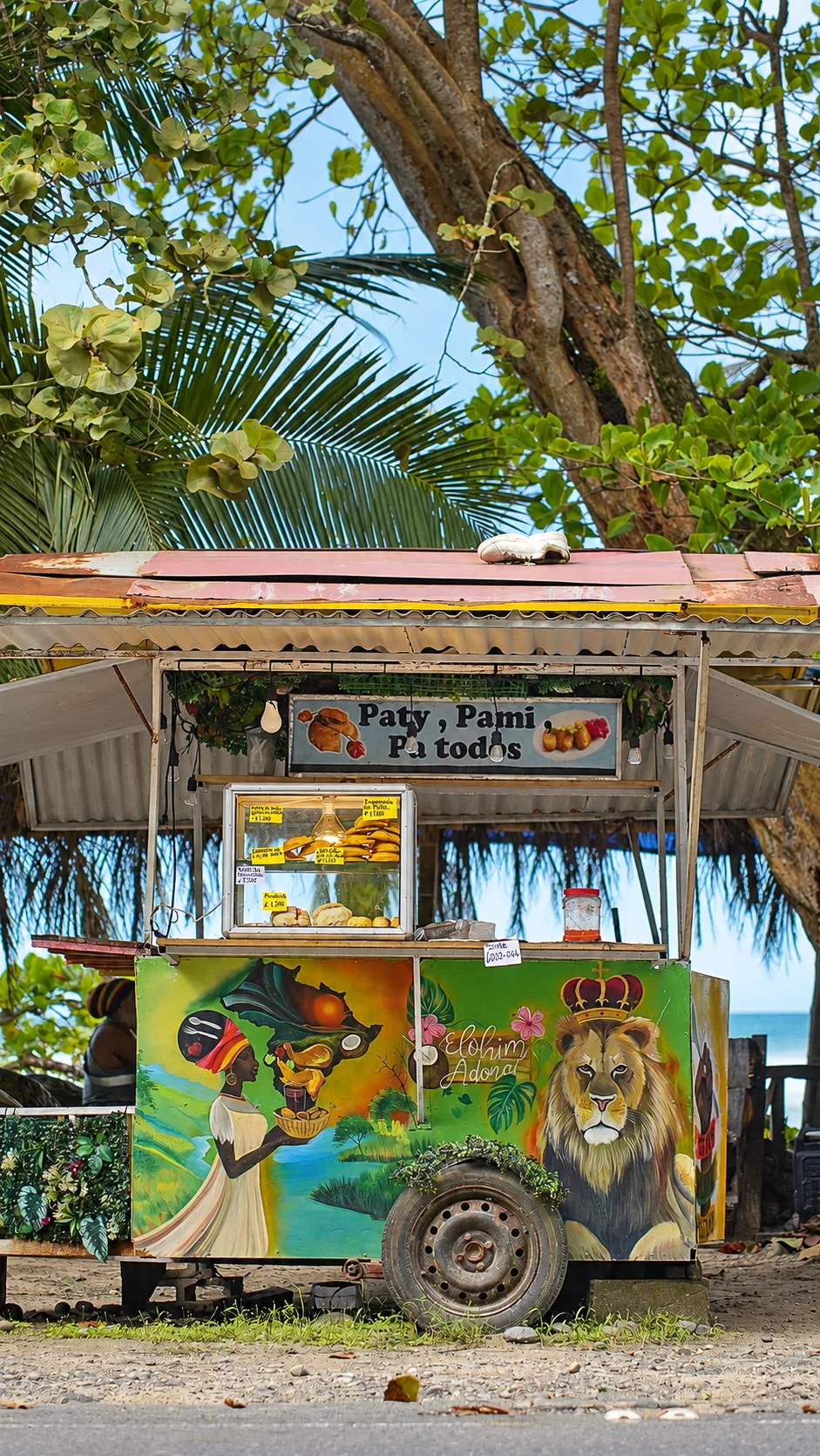 Hand-painted patty cart with a lion mural selling Caribbean patties near Playa Cocles