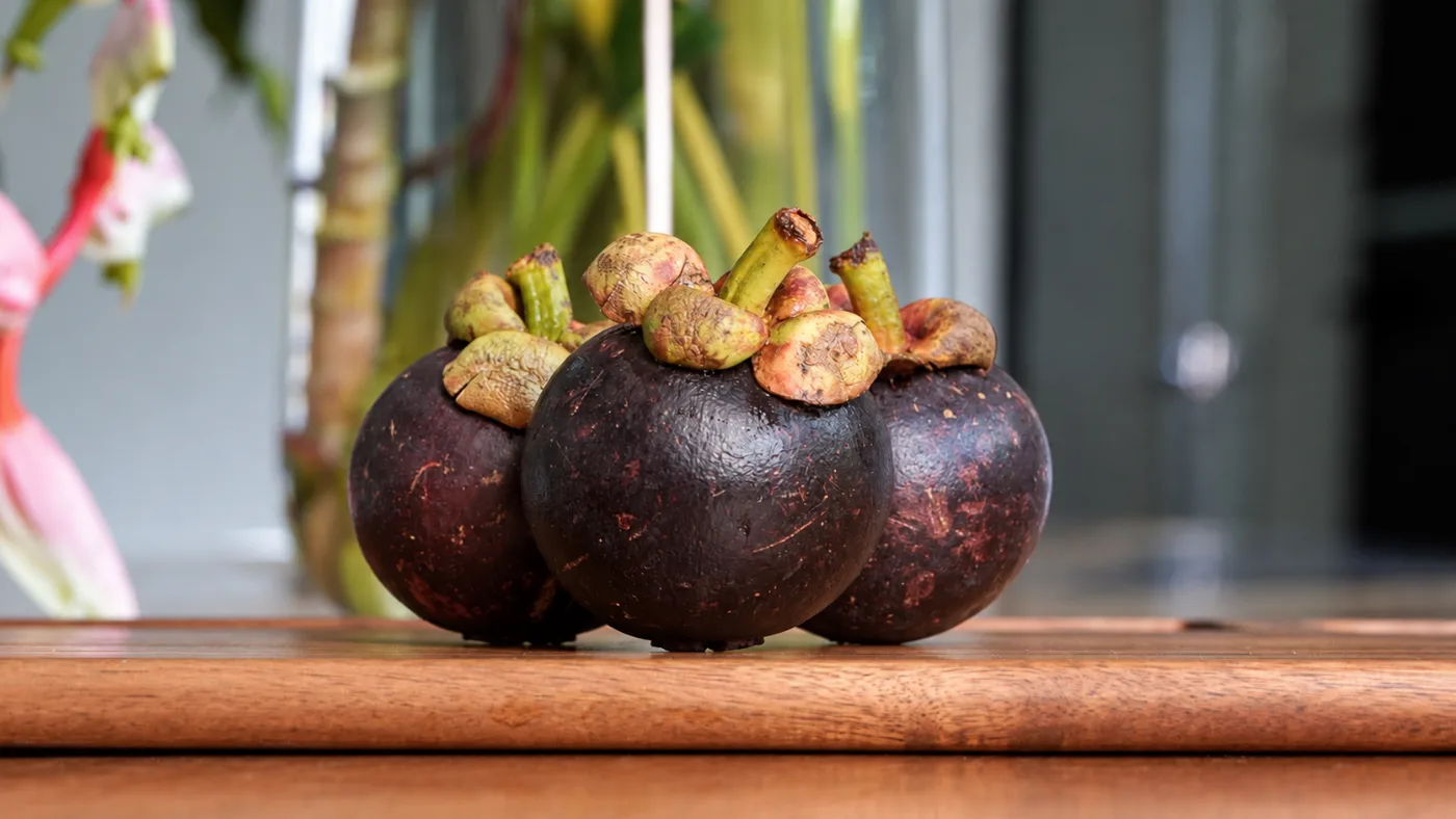 Mangosteen tropical fruit in Puerto Viejo, Costa Rica