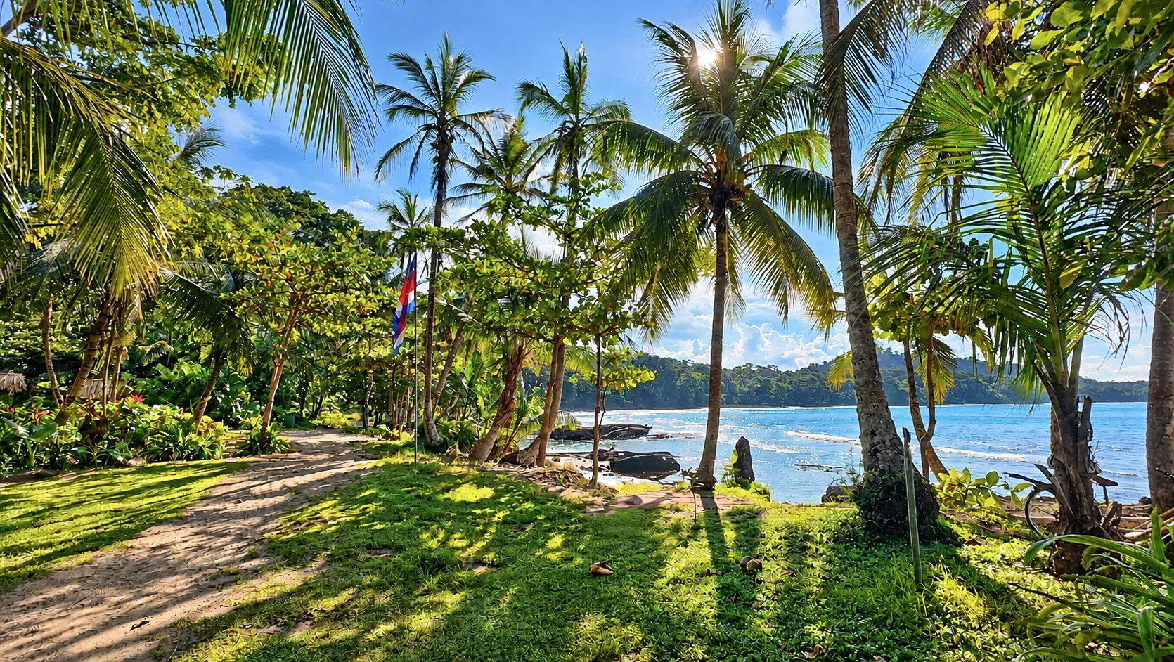 Palm trees and a grassy path leading to the sea at Playa Cocles, Puerto Viejo, Costa Rica